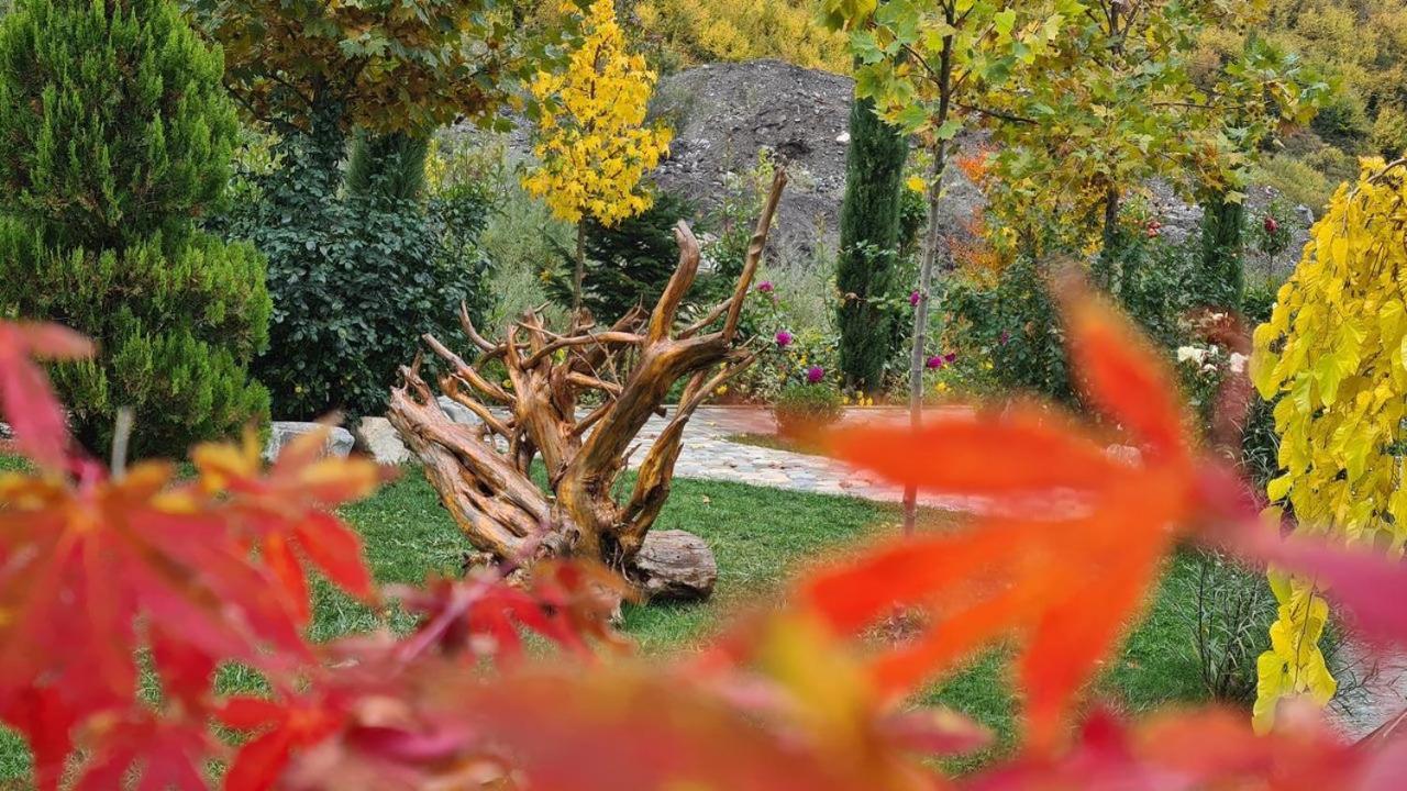 Resort Dibra Park Agrotourism